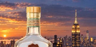 pisco
