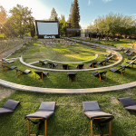 “Vino el Cine” llega a Colchagua para convertir sus viñedos en salas de cine al aire libre Vino