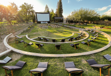 “Vino el Cine” llega a Colchagua para convertir sus viñedos en salas de cine al aire libre Vino