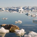 WWF Chile propone que al 2050 el 100% de la nueva infraestructura pública y privada del país incorpore criterios de cambio climático WWF