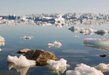 WWF Chile propone que al 2050 el 100% de la nueva infraestructura pública y privada del país incorpore criterios de cambio climático WWF