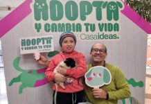 Casaideas reafirma su compromiso con el bienestar animal con nuevas jornadas de adopción en Santiago, Valdivia y Curicó Casaideas