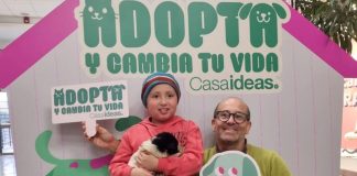 Casaideas