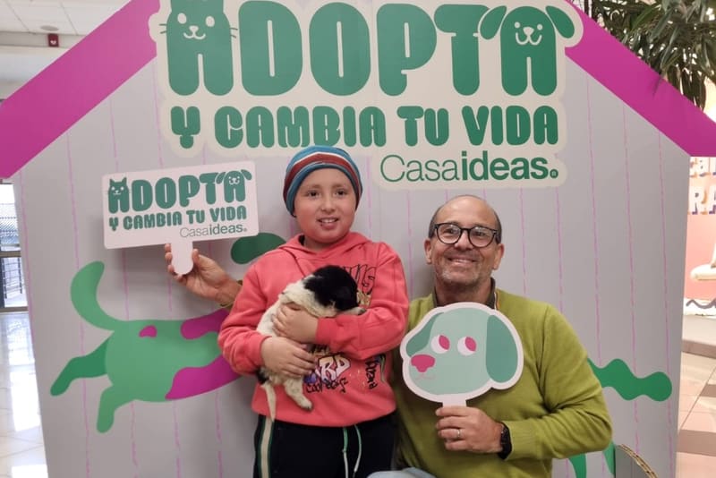 Casaideas