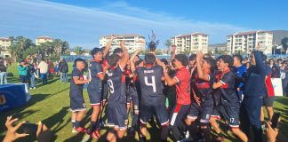 Lion Cup