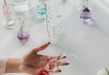 Festival de perfumería reunirá a 50 expositores y expertos internacionales en Santiago Festival
