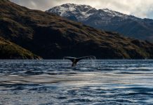 76% de los chilenos espera que el Gobierno aumente su acción frente al medio ambiente y el cambio climático medio ambiente