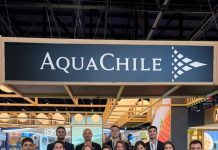 AquaChile proyectó ventas superiores a US $300 millones en Brasil para 2026 AquaChile