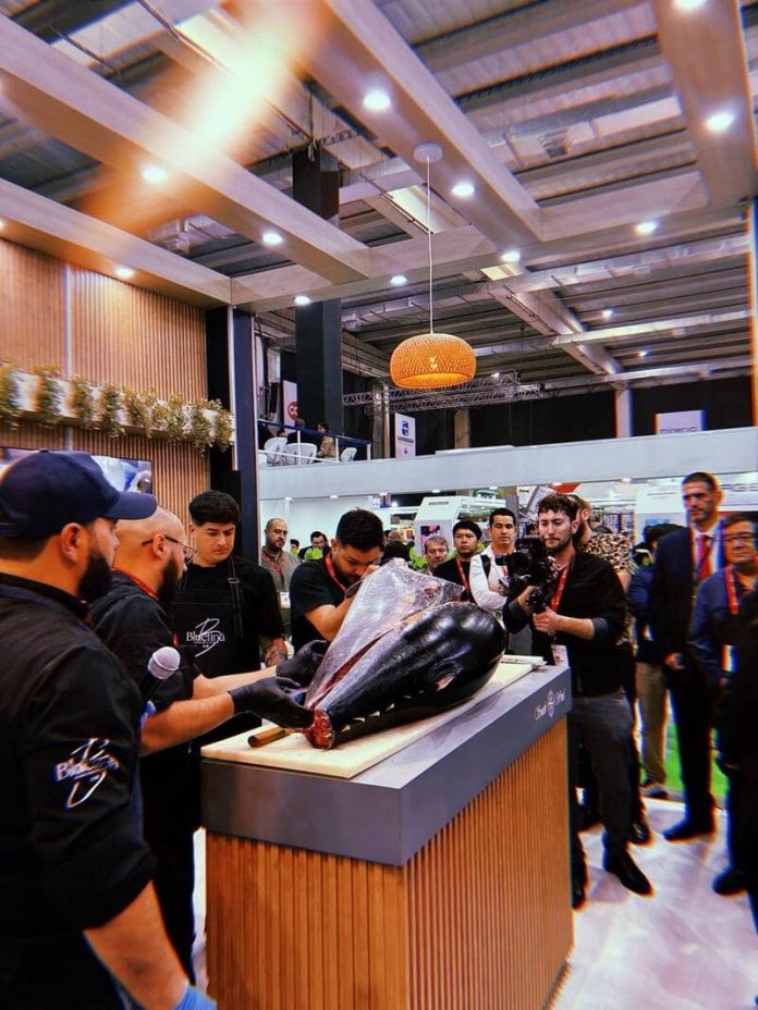 EXPO SW 1 (1) ronqueo