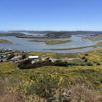 Día Contra el Cambio Climático