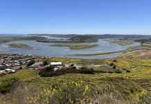 Día Contra el Cambio Climático