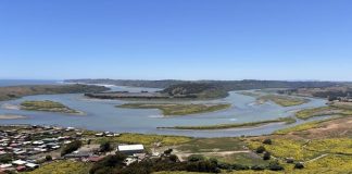 Día Contra el Cambio Climático