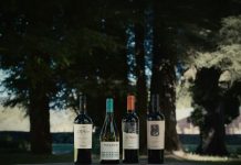 Gê 2023 alcanza nuevamente 98 puntos de James Suckling y Viñedos Orgánicos Emiliana obtiene sobresalientes calificaciones en sus marcas Gê 2023