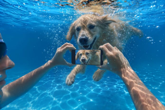 Q16-IP69 underwater photography without UI (2) Xiaomi
